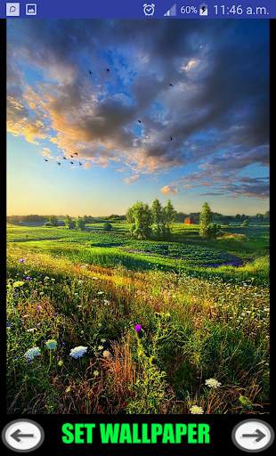 Hd Nature Wallpaper 2 screenshot 2