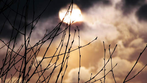 Moonlight Live Wallpaper : backgrounds hd screenshot 12