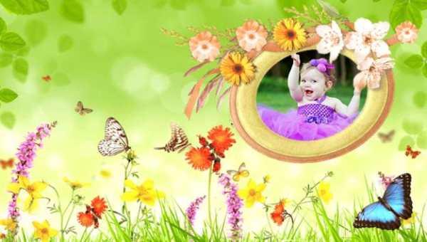 Butterfly Frames screenshot 4
