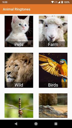 Animal Ringtones & Sounds screenshot 1
