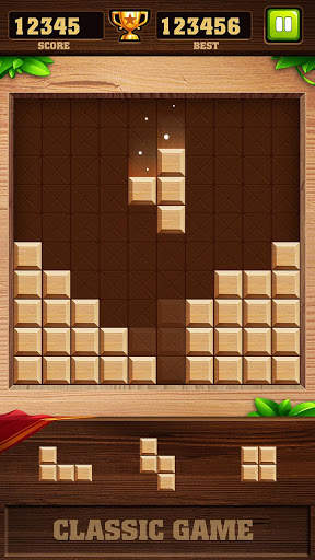 Block Puzzle Game - Brick Game screenshot 3