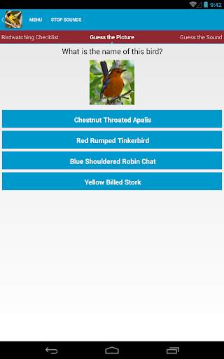 African Birds Sounds Free screenshot 12