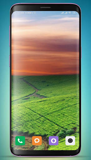 Field Wallpaper 5 تصوير الشاشة