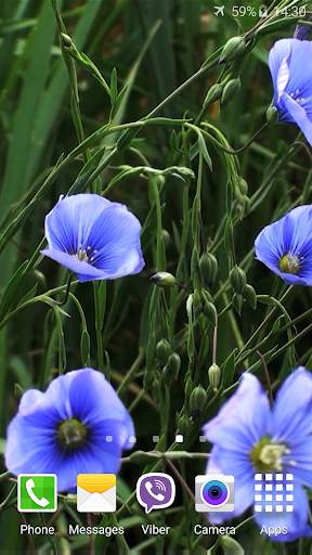 Blue Flowers Live Wallpaper screenshot 2
