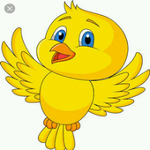 Crazy bird icon