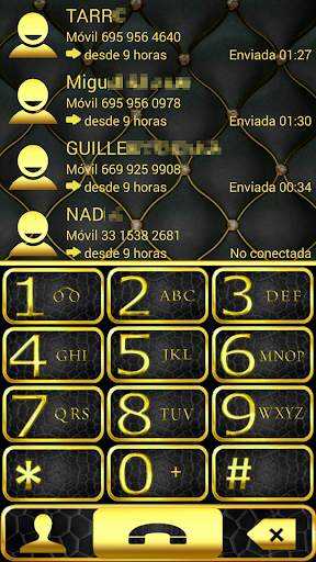 THEME GOLD LEATHER EXDIALER screenshot 1