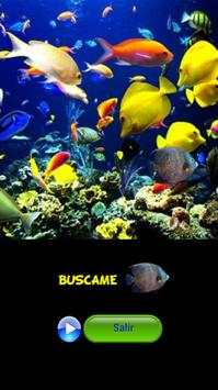 Buscame screenshot 3