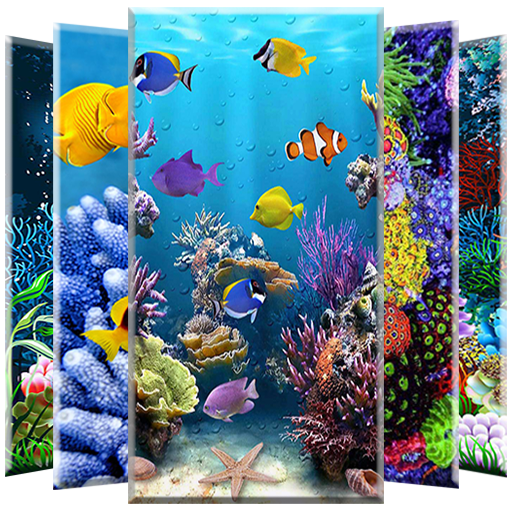 Coral Reef Wallpaper icon