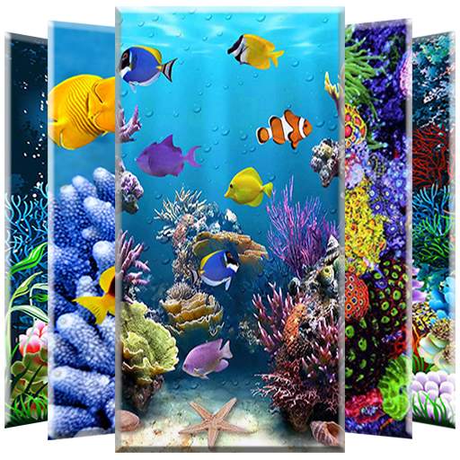 Coral Reef Wallpaper 1.2