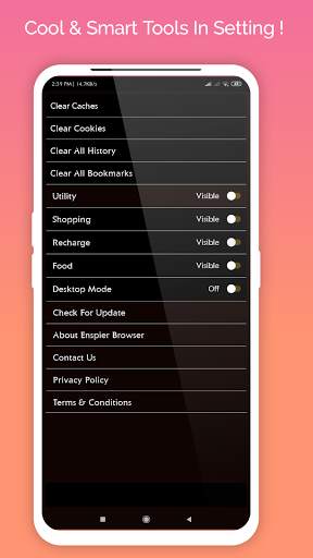 Enspier  Browser screenshot 3