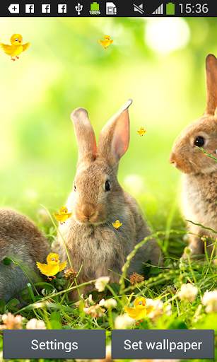 Easter Live Wallpapers screenshot 5