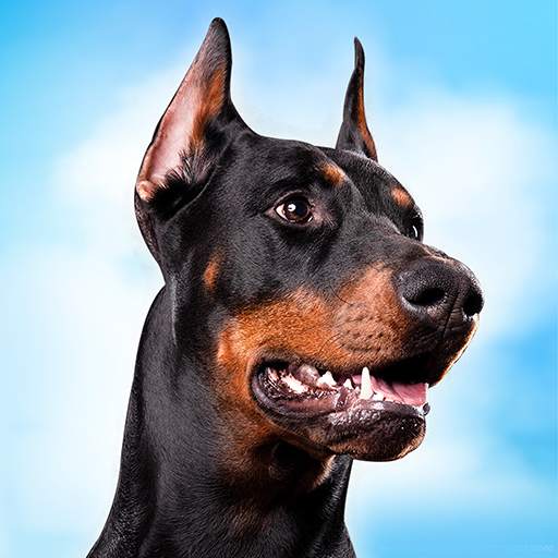 Doberman Dog Simulator 1.2.6