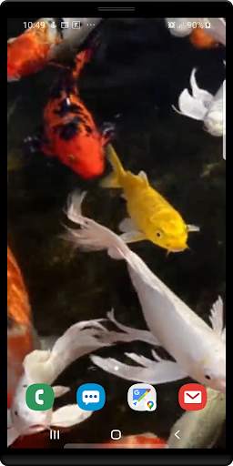 Koi Live Wallpaper screenshot 1