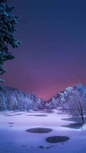 Winter Wallpapers : backgrounds hd screenshot 5