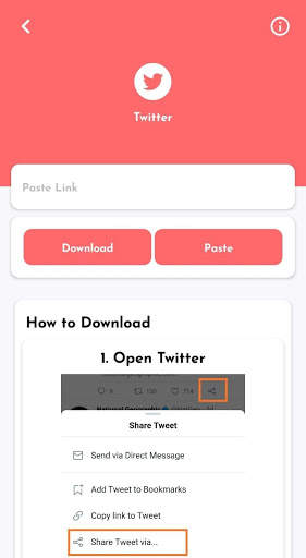 Social Video Downloader screenshot 4