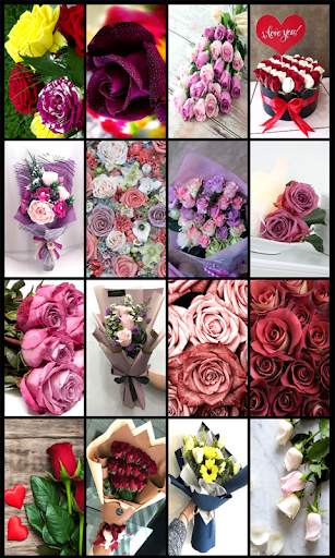 Rose Mobile Wallpapers screenshot 9