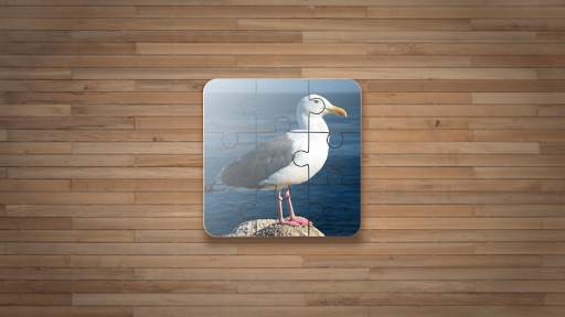 Bird Puzzle Games screenshot 1