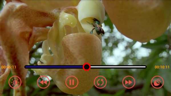MP4/3GP/AVI HD Video Player screenshot 1