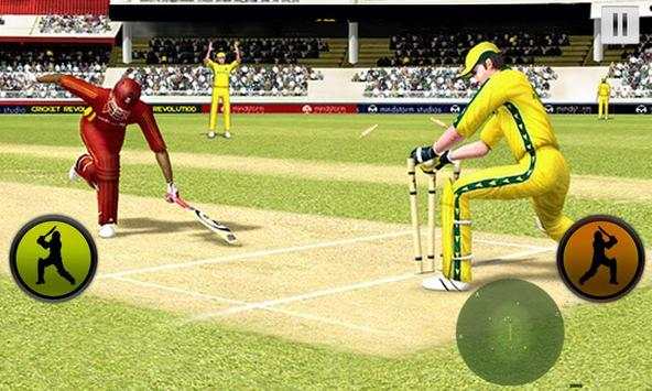 BBH Cricket Worldcup screenshot 2