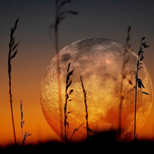 Beautiful Moon Wallpapers icon