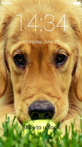 Golden Retriever Lock Screen screenshot 6