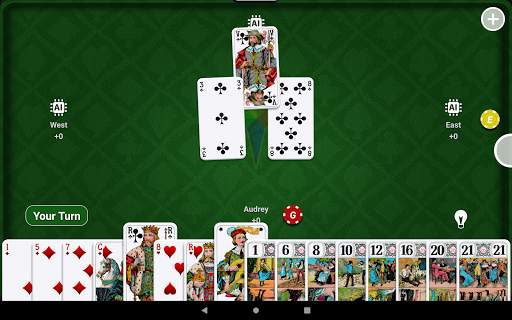 SHUA Tarot screenshot 13