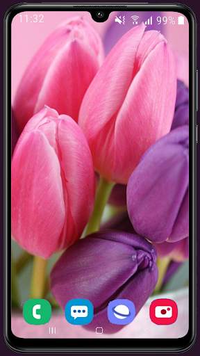 Tulips Wallpaper Best HD screenshot 12
