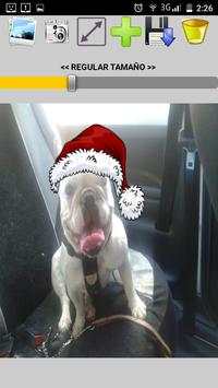 Foto Navidad y gorro Papa Noel screenshot 2