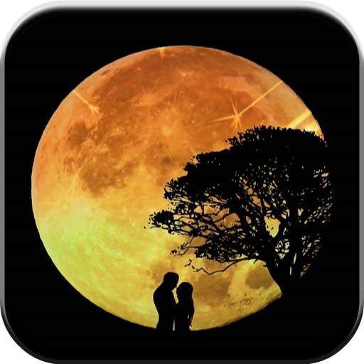 Good Night My Love 1.6