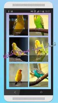 bird canary ringtone screenshot 1