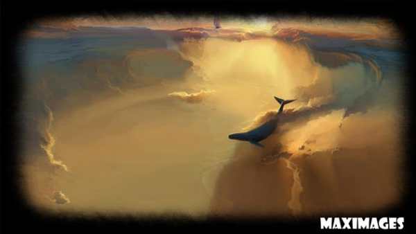 Whale Wallpaper screenshot 3