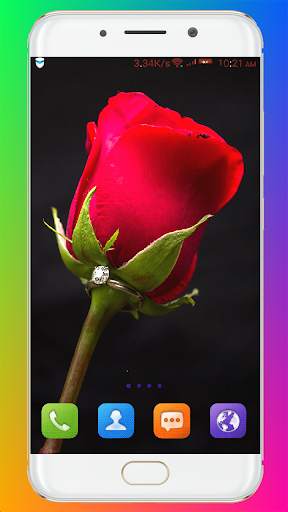 Red Rose Wallpaper screenshot 8