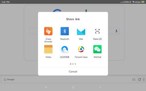 Crazy Browser screenshot 6