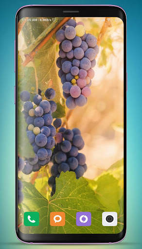 Grapes Wallpaper HD screenshot 7