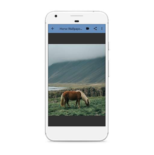Horse Wallpaper: Beautiful Horse Images 4K screenshot 4