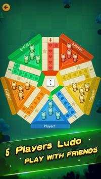 Ludo  Player 6 تصوير الشاشة