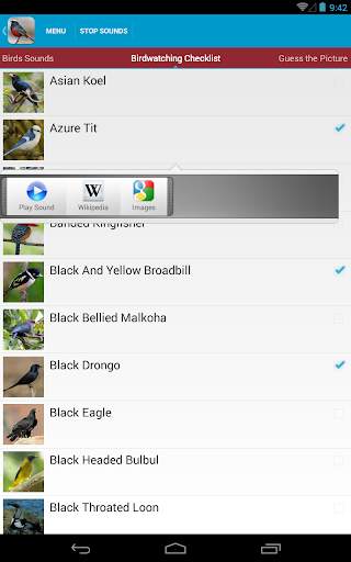 Asian Birds Sounds Free screenshot 11