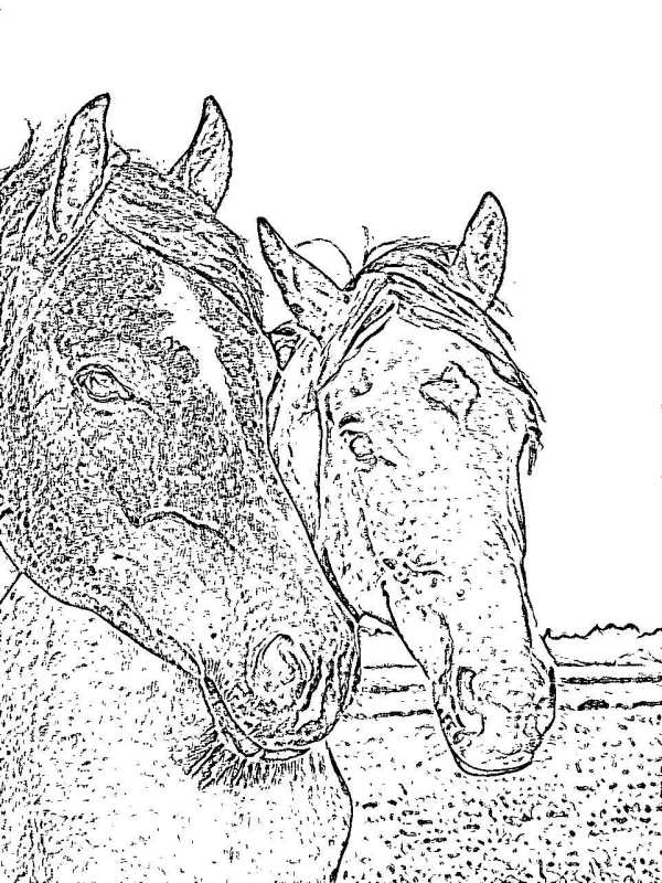 Cartoon Photo screenshot 3
