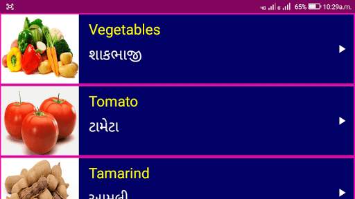 Learn English From Gujarati screenshot 15