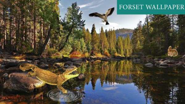 Forest 3D Live Wallpaper screenshot 4