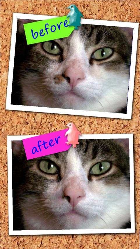 Photo Hacker Copy Paste Editor screenshot 1