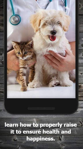 How to Take Care of a Cat Guide screenshot 2