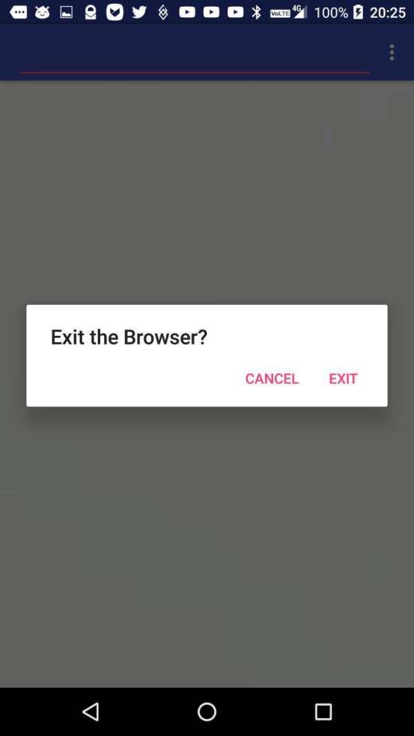 Light Browser (always BETA) screenshot 2