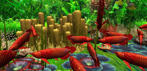 3D Red Arowana Live Wallpaper Pro screenshot 7