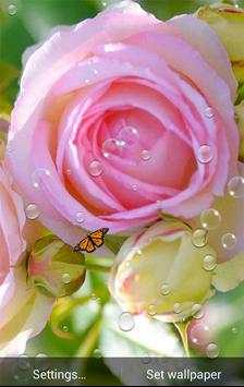 Roses Flowers Wallpaper screenshot 4