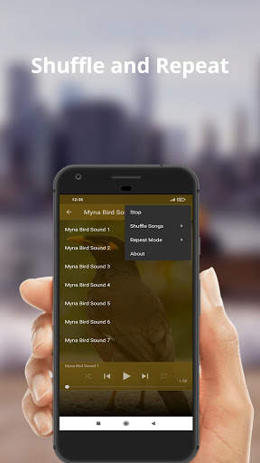 Myna Bird Sounds screenshot 3