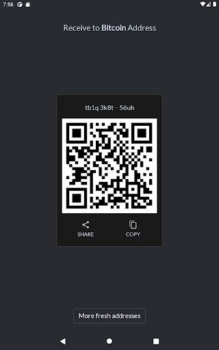 Simple Bitcoin Wallet TESTNET screenshot 4