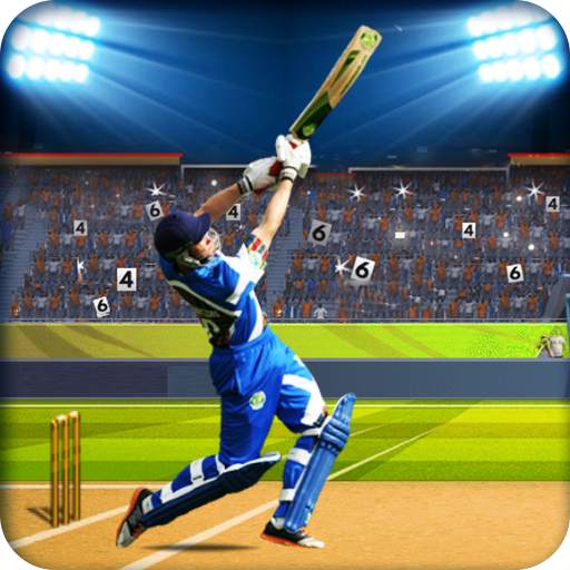 Real Cricket Championship 1.2