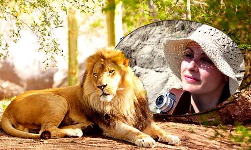 Lion Photo Frames screenshot 6