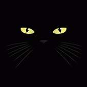 Dark Cat Lick LWP 2